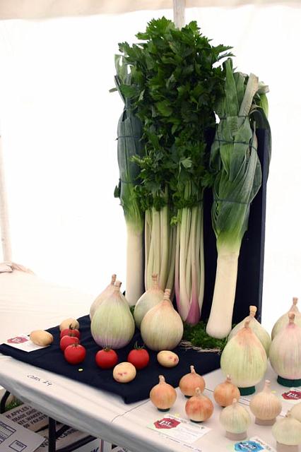 Display of veg.jpg